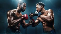 Una nueva serie de artes marciales se estrenó en la Gran N roja y promete hacer furor.