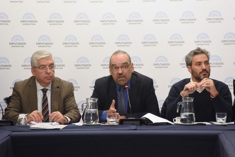 Fernando Iglesias preside la comisión de Relaciones Exteriores y Culto de la Cámara de Diputados.