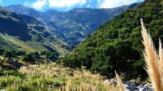 Merlo, una de las ciudades de San Luis ideales para disfrutar del turismo en Argentina. Merlo, una de las ciudades de San Luis ideales para disfrutar del turismo en Argentina.
