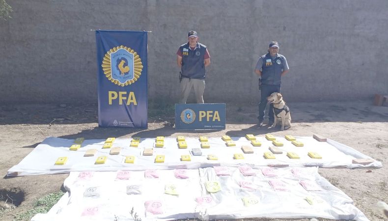 Secuestraron 27 mil pastillas de éxtasis que eran traficadas por un policía bonaerense.