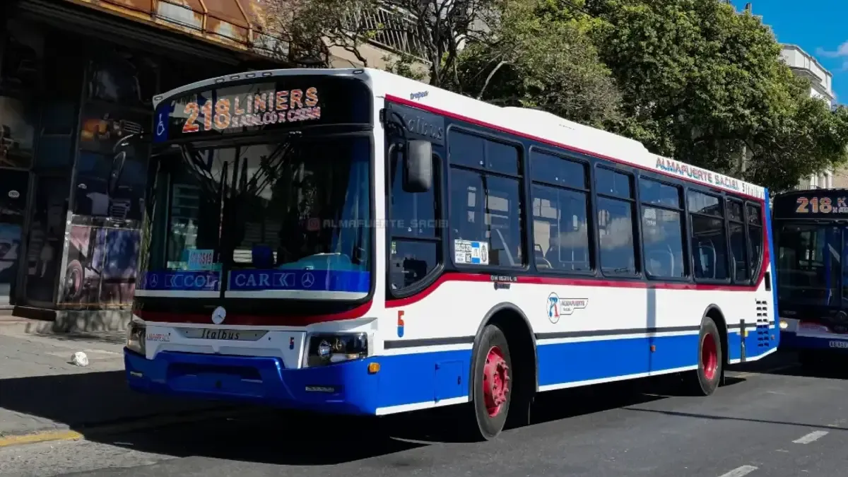 Sorpresivo paro de colectivos en el AMBA para este lunes 28 de abril: qué  líneas no funcionan
