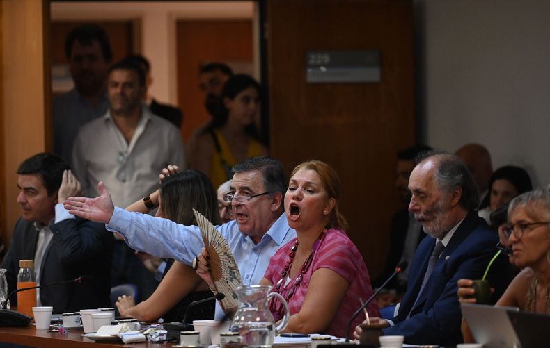 Juicio político a la Corte: la oposición fracasó en su intento de denunciar a Alejo Ramos Padilla