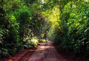 El denunciante encontró al taxista y la niña en la Reserva Selva Iryapú mientras realizaba ejercicio.