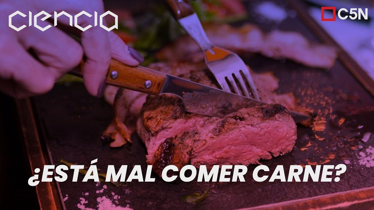 ¿Está mal comer carne?