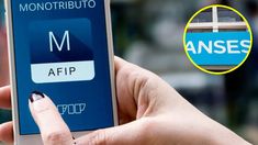 Este es el dato clave que deben conocer los monotributistas y que se puede chequear en la web del ANSES. Este es el dato clave que deben conocer los monotributistas y que se puede chequear en la web del ANSES.