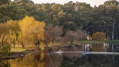 Las Flores ofrece un entorno natural encantador. Las Flores ofrece un entorno natural encantador.