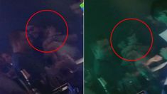 Las fotos del encuentro de Gianinna Maradona y Daniel Osvaldo en un boliche de Palermo: abrazos y risas Las fotos del encuentro de Gianinna Maradona y Daniel Osvaldo en un boliche de Palermo: abrazos y risas