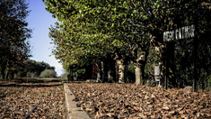 En la localidad de Exaltación de la Cruz, existe un pueblito ideal para conectarse con la naturaleza y disfrutar de las mejores parrillas al aire libre. En la localidad de Exaltación de la Cruz, existe un pueblito ideal para conectarse con la naturaleza y disfrutar de las mejores parrillas al aire libre.