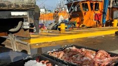 Tras el anuncio de la baja de retenciones al campo, la industria pesquera expresó su malestar. Tras el anuncio de la baja de retenciones al campo, la industria pesquera expresó su malestar.