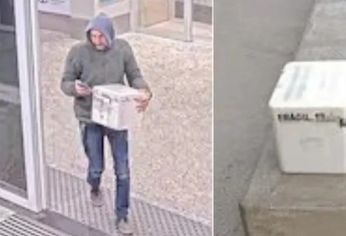 El hecho ocurrió el 19 de agosto en el Aeroparque Jorge Newbery de la Ciudad de Buenos Aires.