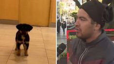 Agustín, el dueño del perro, pide que se lo devuelvan. Agustín, el dueño del perro, pide que se lo devuelvan.