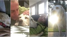 El conmovedor mensaje de Marley por la muerte de su perro Wylie: 13 años juntos, gracias por tanto amor y tanta luz El conmovedor mensaje de Marley por la muerte de su perro Wylie: 13 años juntos, gracias por tanto amor y tanta luz