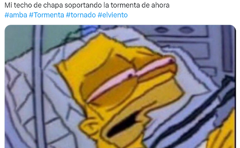 Los usuarios de las redes sociales se expresaron por el temporal.