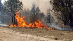Incendios en Córdoba: bomberos combaten focos en distintos puntos de la provincia Incendios en Córdoba: bomberos combaten focos en distintos puntos de la provincia