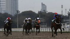 El sábado se disputará el Gran Premio Nacional. El sábado se disputará el Gran Premio Nacional.