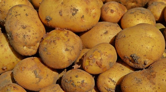 ¿Cómo conservar las papas peladas?