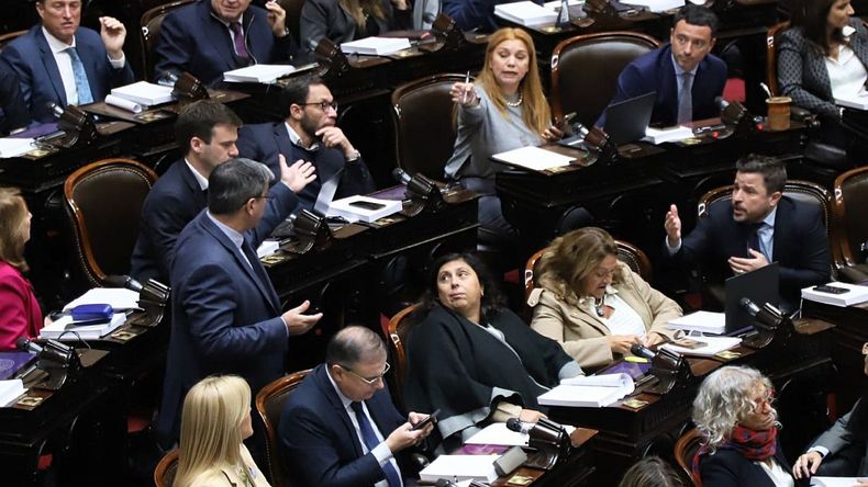 Ley Bases: Cuáles Son Las Batallas Cruciales Que Se Libran En Diputados