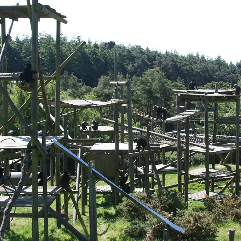 Monkey World Ape Rescue Centre donde serán trasladados los chimpancés. 