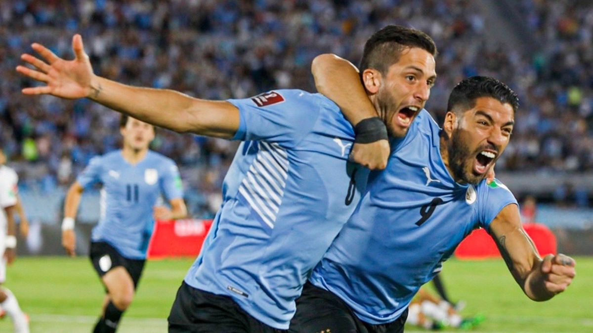Si van a contarle este mundial corrupto a Argentina, entonces que se  cuenten esas 2 estrellas más de Uruguay. Argentina sigue por detrás de  Brasil y Uruguay : r/futbol