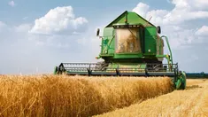 La cosecha del trigo, beneficiada por la decisión del Gobierno.