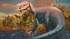 Reconstrucción en vida del nuevo dinosaurio carnívoro Joaquinraptor casali. Ilustración por Andrew McAfee, Carnegie Museum of Natural History. Reconstrucción en vida del nuevo dinosaurio carnívoro Joaquinraptor casali. Ilustración por Andrew McAfee, Carnegie Museum of Natural History.