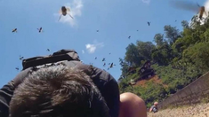 Impresionante ataque de abejas a una pareja en India. Impresionante ataque de abejas a una pareja en India.