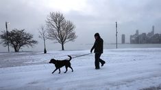 Es la peor tormenta de nieve que azota al país en 4 décadas