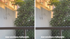 Se hizo viral en TikTok un video donde filman a un vecino robandopaltas a través de la medianera.