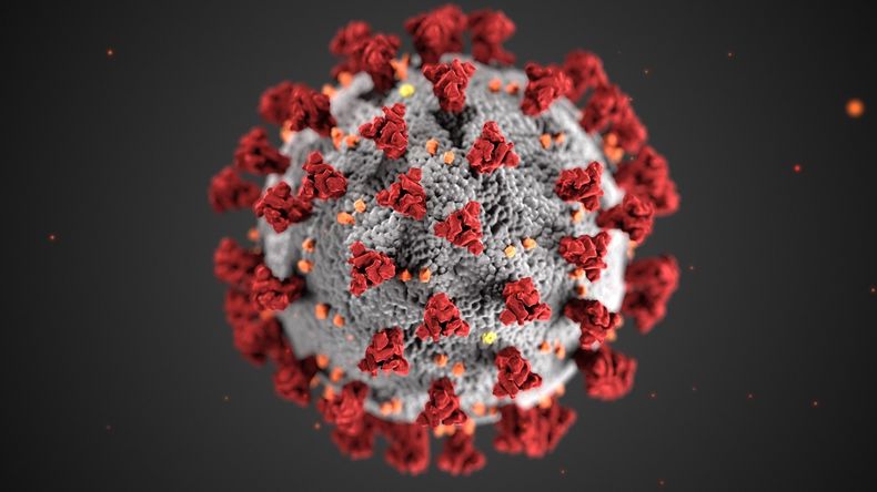 Preocupación por el descubrimiento de un nuevo virus similar al Covid-19 en China.