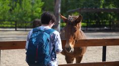 La granja cerca de Buenos Aires para ir con los más chicos. La granja cerca de Buenos Aires para ir con los más chicos.