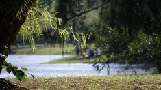 Este poblado pequeño ubicado en el área turística Pampa Agropecuaria ofrece dos senderos principales junto al río. Este poblado pequeño ubicado en el área turística Pampa Agropecuaria ofrece dos senderos principales junto al río.