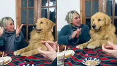 El video de un tierno perrito festejando un cumpleaños se hizo viral. El video de un tierno perrito festejando un cumpleaños se hizo viral.