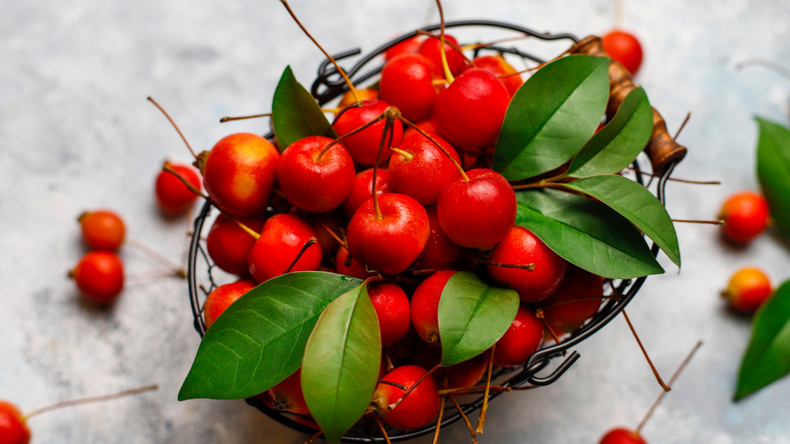 Rica en antioxidantes y con un alto contenido proteico, la Synsepalum Dulcificum contribuye a la salud general y al bienestar integral.