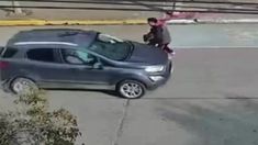 Detuvieron a un carancho en la ciudad chubutense. Detuvieron a un carancho en la ciudad chubutense.