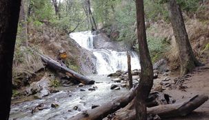 Muy cerca de San Carlos de Bariloche, se encuentran estos dos destinos perfectos para los amantes del senderismo