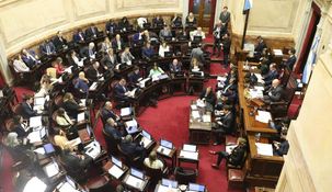 Romero podría ir a la Auditoría General de la Nación.