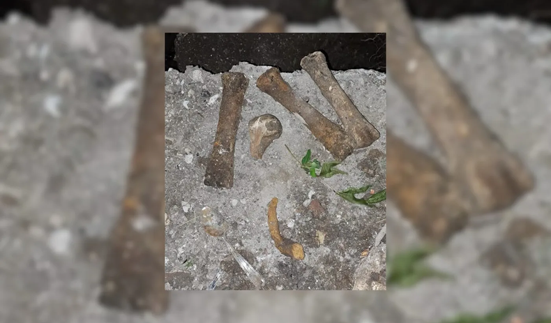 El hallazgo se produjo en una propiedad ubicada en la calle 150