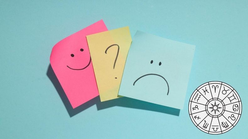 Comprender los rasgos distintivos de estos signos puede ser clave para mejorar la interacción con ellos