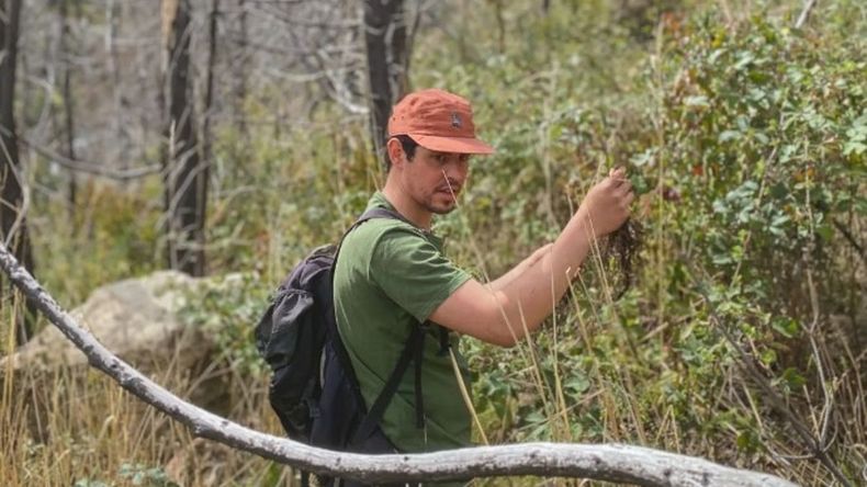 El Fondo Fiduciario para la Protección Ambiental de losBosques Nativos fue creado para financiar medidas de protección de los bosques