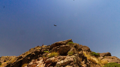 La imponente formación natural con avistaje de cóndores en Argentina La imponente formación natural con avistaje de cóndores en Argentina