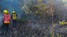 El alerta por el alto riesgo de incendio puede extenderse hasta siete meses.