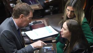 El bloque de diputados del PRO rechazó el DNU.