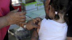 Mar del Plata, Bahía Blanca y Ensenada fueron los tres municipios donde se desarrolló Festival de las Vacunas.