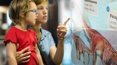 Amplía un museo paleontológico en Argentina que será uno de los más grandes del mundo Amplía un museo paleontológico en Argentina que será uno de los más grandes del mundo