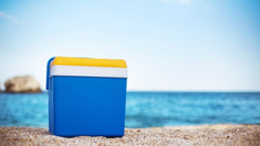 Los argentinos ya no viajan por mes o por quincena sino que les alcanza para unos días de mini vacaciones. Los argentinos ya no viajan por mes o por quincena sino que les alcanza para unos días de mini vacaciones.