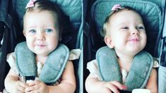 Magnolia irrumpió en un Instagram Live de Benjamín Vicuña Magnolia irrumpió en un Instagram Live de Benjamín Vicuña