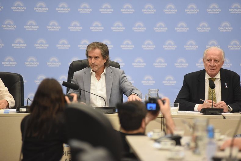 Bertie Benegas Lynch presidió la Comisión de Presupuesto que el miércoles obtuvo dictamen. 