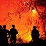 Tolima es el epicentro de la crisis ambiental en Colombia.