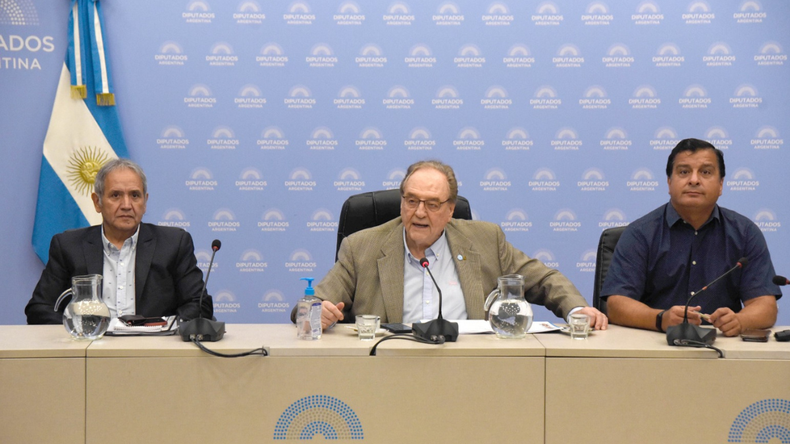Hay 25 firmas para el dictamen de mayoría y 12 firmas en disidencias”