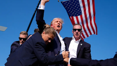 Donald Trump con el puño en alto y su oreja ensangrentada en 2024, una imagen que recorrió el mundo. Donald Trump con el puño en alto y su oreja ensangrentada en 2024, una imagen que recorrió el mundo.